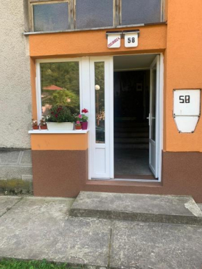 Apartman Pejica